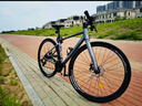 蘭博基尼(AUTOMOBILI LAMBORGHINI）公路車(chē)自行車(chē)成人瓜車(chē)賽車(chē)變速男青少年女學(xué)生城市通勤平把單車(chē) 平把鈦金灰 L【推薦170-195cm】 24速線(xiàn)拉油碟 曬單實(shí)拍圖