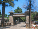 固鄉(xiāng) 戶外梯子 倉庫折疊梯子 人字工廠梯子 加厚防滑工程工地樓梯 【加寬加固款3米高】 曬單實拍圖