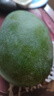 正宗凱特芒果 肉厚甜心芒熱帶當(dāng)季新鮮水果整箱 帶箱2斤單果300g+ 曬單實拍圖