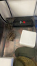 淘歌南極磷蝦干300g 龜糧蝦干銀龍魚糧羅漢招財魚食不含鹽蝦干 曬單實拍圖