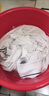 辰洋串色還原劑300ml衣服染色修復還原白色衣服彩色衣服通用串色去除 曬單實(shí)拍圖