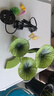 樸記創(chuàng)意荷花玻璃魚(yú)缸流水?dāng)[件自動(dòng)循環(huán)噴泉景觀客廳桌面造景裝飾禮品 童心流水（美人魚(yú)) 曬單實(shí)拍圖