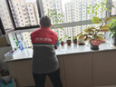 京東家政3小時(shí)日常保潔單次兌換券 全屋保潔服務(wù) 上門(mén)清潔 使用地區見(jiàn)商詳頁(yè) 曬單實(shí)拍圖