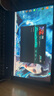 宏碁（acer）宏基掠奪者·擎Neo2024新款暗影騎士擎5/6Pro高性能游戲本暢玩黑神話悟空電競本學生AIPC筆記本 【擎2025】i5標壓/4060/2.5K/165 32G/1T固態(tài) 定制 曬單實拍圖