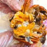 【活蟹】陽澄小斌大閘蟹 特大精挑螃蟹公蟹母蟹 生鮮水產(chǎn)海鮮禮盒 全母3.0-3.3 八只禮盒蘇州精挑蟹 曬單實拍圖