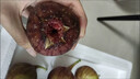 陜西彩虹梨 應當季新鮮水果紅皮梨子脆甜酥梨整箱批發(fā)帶箱 4.5斤中果【18個(gè)內】【托盤(pán)裝】 曬單實(shí)拍圖