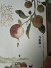 自營現(xiàn)貨包郵 長安的荔枝 贈荔枝轉運輿圖  電影原著小說 大鵬導演 劉德華 楊冪 張若昀參演  馬伯庸 見微系列歷史小說 影視劇 騰訊視頻 雷佳音 岳云鵬 主演 發(fā)書評贏免單 曬單實拍圖