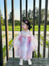 萌乎漢服女童2025春秋款兒童高端超仙古風(fēng)公主連衣裙小女孩飄逸公主裙 紫色 90 曬單實(shí)拍圖