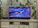 東芝電視小芝士65Z600QF PRO 65英寸 音畫雙芯Mini LED 火箭炮音響 300Hz 4K高清智能 家電國家補(bǔ)貼 曬單實拍圖