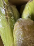 佳農寶菜山東新鮮水果玉米鮮嫩多汁健康輕食玉米4-6根4.5斤裝源頭直發(fā) 曬單實(shí)拍圖