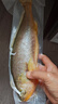 GUO LIAN國聯(lián) 三去黃花魚2條 共凈重2斤國產(chǎn)寧德東海大黃魚 海鮮水產(chǎn)生鮮 曬單實(shí)拍圖