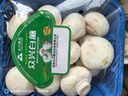 【綠色認(rèn)證】鮮美白蘑菇230g 曬單實(shí)拍圖
