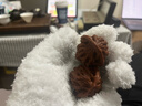 新盟加大鼠標墊加厚可愛(ài)女生Office辦公軟件CAD word excel快捷鍵鍵盤(pán)墊電腦桌墊ps 五筆字根表30*80厘米 精密鎖邊 曬單實(shí)拍圖