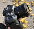 佳能Canon [旗艦店] EOS R10機身/套機青春專(zhuān)微學(xué)生新手4K短片相機 R10 套機 RF-S18-45mm+64G卡 曬單實(shí)拍圖