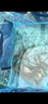 佳釣尼（JIADIAONI）活魚(yú)桶加厚魚(yú)箱魚(yú)護桶釣魚(yú)水桶一體透明可折疊野釣專(zhuān)用漁具40cm 曬單實(shí)拍圖