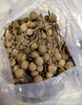 京鮮生 廣東龍眼凈重3斤裝 單果8g+ 帶枝發(fā)貨 生鮮水果 源頭直發(fā)包郵 曬單實拍圖