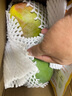 京鮮生 攀枝花凱特芒果 凈重4.5斤 單果300g+ 生鮮水果源頭直發(fā) 曬單實(shí)拍圖