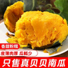 貝貝南瓜正宗粉糯新鮮板栗味小南瓜栗面老瓜嬰兒孕婦粉糯整箱 3.5斤 精選裝【粉糯香甜】?jì)糁?斤 曬單實(shí)拍圖