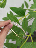 花有心柿滿鉆菱形水晶手環(huán)手串手鐲女款高級(jí)感彈力手串手鏈?zhǔn)掷K輕奢手飾品 【一顆大】超閃菱形排鉆手環(huán)-金色 曬單實(shí)拍圖