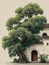原始人冰塊保溫箱冷藏商用擺攤車(chē)載冰桶戶(hù)外露營(yíng)便攜式保鮮小冰箱 曬單實(shí)拍圖