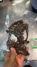 COOKSS智能可視挖耳勺無(wú)線(xiàn)高清掏耳朵神器帶鑷子耳鏡成人寶寶掏耳朵套裝 曬單實(shí)拍圖