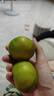 同甘園現(xiàn)貨速發(fā) 云南蜜桔 青皮蜜橘薄皮桔子孕婦水果新鮮酸爽橘子 整9.5-10斤單果約40-50g凈重9斤 曬單實(shí)拍圖