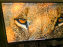 海信大圣G9 27英寸3A原畫(huà) 黑曜屏 2304分區 U+MiniLED 4K160Hz雙模320Hz 冰川白 電競顯示器 曬單實(shí)拍圖