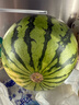 【產(chǎn)地直采】麒麟奶油西瓜 約5.5kg 曬單實拍圖