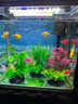 萌嘟星寵 仿真水草魚(yú)缸造景套裝水族箱布景裝飾擺件假植塑料假水草 5件套 曬單實(shí)拍圖