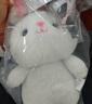 熊貓熊兔子玩偶毛絨玩具七夕情人節(jié)禮物女孩生日禮物女生公仔兒童布娃娃 曬單實拍圖