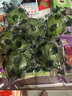 【獨立包裝】新鮮現摘青檸檬非無(wú)籽檸檬茶飲搭檔 單果80克 青檸檬1粒嘗鮮裝 曬單實(shí)拍圖