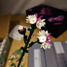 樂高（LEGO）積木 花植系列10342粉黛花束禮盒 七夕情人節(jié)禮物 曬單實拍圖