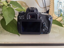 佳能EOS 750D 800D 77D 80D 90D 850D 760D 7D2半畫幅數(shù)碼單反相機(jī) 佳能760D+18-55stm標(biāo)準(zhǔn)鏡頭套機(jī) 國產(chǎn)配件套餐 曬單實(shí)拍圖