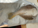黃小漁南美黃魚鲞450g/2條 三去大黃魚黃花魚生鮮 海鮮水產(chǎn)燒烤夜宵魚類 曬單實(shí)拍圖