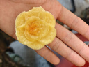 奧伊達不銹鋼棉線(xiàn)拖把大號塵推家用老式墩布工廠(chǎng)物業(yè)吸水普通寬拖布60cm 曬單實(shí)拍圖