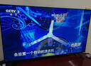 TCL雷鳥電視 50雀4 25款 50英寸 萊茵護眼雙認證 自定義遙控器 無開機廣告 家電國家補貼電視50F195C 曬單實拍圖