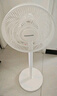 長虹（CHANGHONG）電風扇落地扇家用交流定頻立式機械電扇臺扇遙控風扇 小型風扇辦公室CFS-LD3016RT 曬單實拍圖