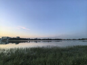 潮夫道檸檬微辣無(wú)骨雞爪2斤裝脫骨去骨酸辣泡椒鳳爪休閑零食下酒菜 曬單實(shí)拍圖