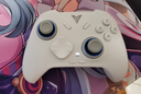 飛智冰原狼4多模版無(wú)線(xiàn)游戲手柄 類(lèi)xbox 力調節搖桿雙切扳機 switch電腦PC手機steam體感NS 絲之歌 曬單實(shí)拍圖