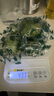 臺灣品種 塔希提無籽青檸檬 香水檸檬 新鮮皮薄 多汁沁香 綠色 嘗鮮裝含箱500g（精選裝） 曬單實(shí)拍圖