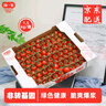 京鮮生 串收櫻桃番茄散串禮盒1.5kg現(xiàn)摘現(xiàn)發(fā)西紅柿源頭直發(fā)包郵 曬單實(shí)拍圖