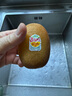 佳沛（zespri）新西蘭 陽光金奇異果12粒禮盒特大果單果約122-146g 獼猴桃 水果 曬單實拍圖