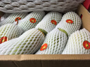 京地達海南金煌芒 凈重8斤單果300g 大芒果禮盒水果源頭直發(fā)包郵 曬單實拍圖