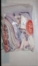 浪莎（LangSha）兒童內(nèi)褲女童內(nèi)褲中大童5A抑菌內(nèi)褲寶寶青少年平角短褲6條裝 150 曬單實(shí)拍圖