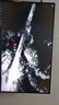 SANC盛色24.5英寸260Hz硬件低藍光 Fast IPS 電競顯示器 耳機掛架小夜燈 HDR400認證電腦屏幕N50Pro6 曬單實(shí)拍圖