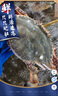 梭子蟹鮮活特大野生舟山大螃蟹海鮮新鮮冷凍海蟹水產(chǎn)飛蟹白蟹順豐 7-9兩/只 【凈重5斤特大梭子蟹】 曬單實拍圖