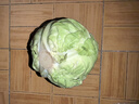 圓白菜約1kg 曬單實(shí)拍圖