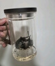 茗光茶杯茶水分離泡茶杯玻璃水杯男士茶杯辦公玻璃高硼硅綠茶杯 曬單實(shí)拍圖