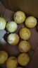 京鮮生 海南欽蜜9號(hào)黃金百香果3斤凈重70-90g/15-21個(gè) 生鮮水果源頭直發(fā) 曬單實(shí)拍圖