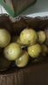 廣西欽蜜9號黃金百香果萬澄當季新鮮大果黃皮果奶茶店水果 【1斤 約11-17個】單果30-45g 曬單實拍圖